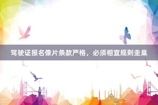驾驶证报名像片条款严格，必须相宜规则圭臬
